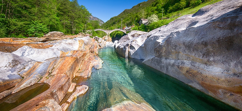 Svizzera, «Ginevra avrà il clima della Puglia, servono case bianche e ulivi»